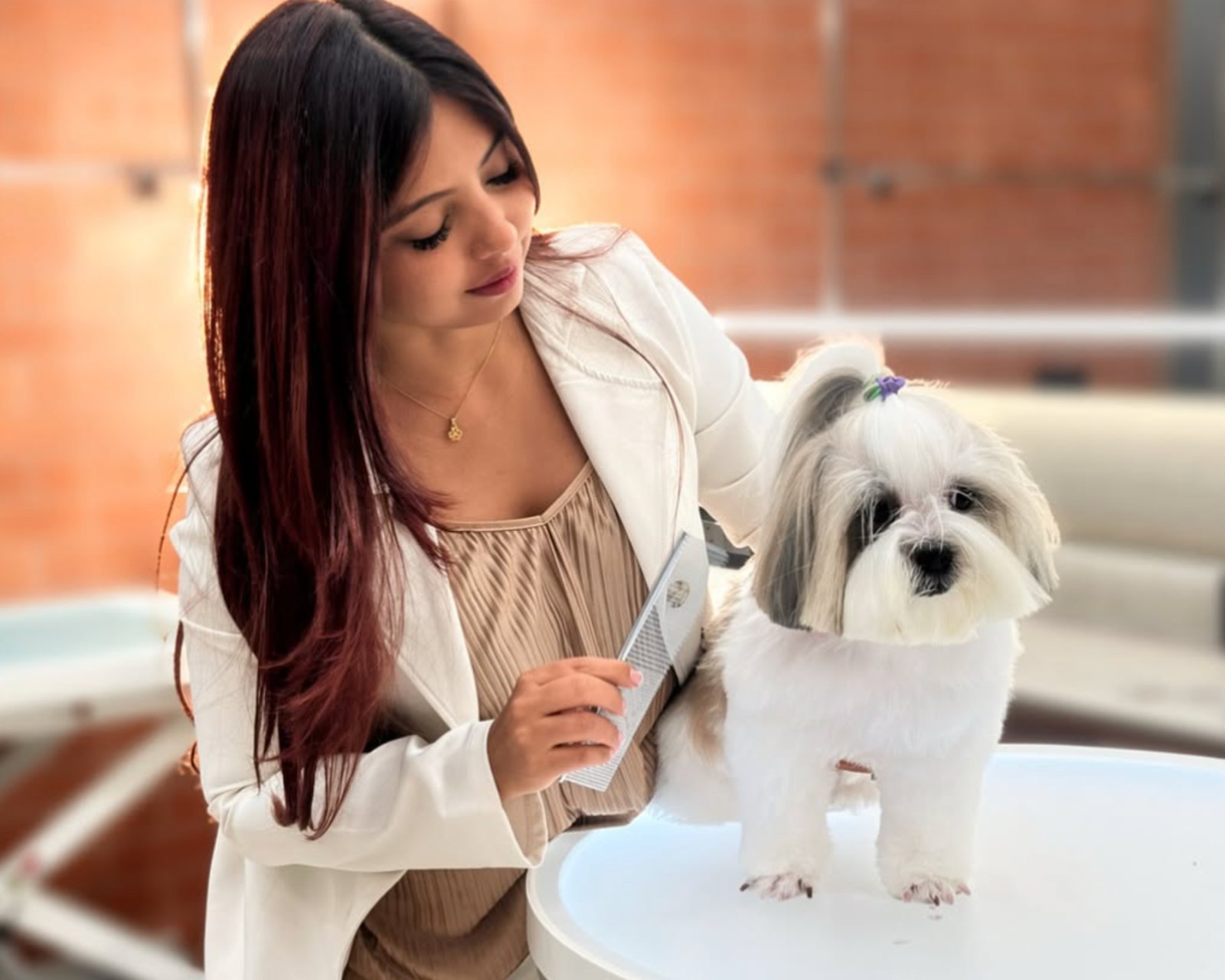 Petagascarr Pet Spa